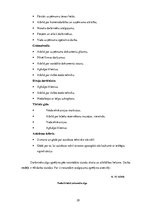 Biznesa plāns 'Biznesa plāns SIA "Bus Tour"', 31.