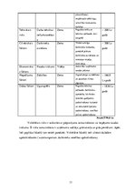 Biznesa plāns 'Biznesa plāns SIA "Bus Tour"', 33.