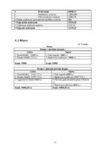 Biznesa plāns 'Biznesa plāns SIA "Bus Tour"', 35.