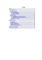 Referāts 'Uzņēmuma SIA "X" vides un stratēģijas analīze un darbības plānošana', 2.