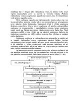 Referāts 'Uzņēmuma SIA "X" vides un stratēģijas analīze un darbības plānošana', 5.