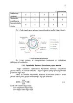 Referāts 'Uzņēmuma SIA "X" vides un stratēģijas analīze un darbības plānošana', 13.