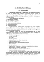 Referāts 'Uzņēmuma SIA "X" vides un stratēģijas analīze un darbības plānošana', 19.