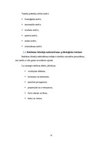 Referāts 'Patstāvīgais darbs. Vizuālās reklāmas pamati', 12.
