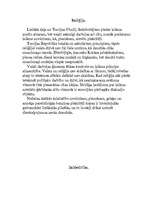 Referāts 'Turcija', 4.