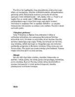 Referāts 'Turcija', 6.