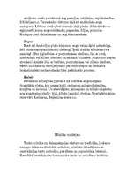 Referāts 'Turcija', 7.