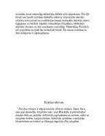 Referāts 'Turcija', 8.