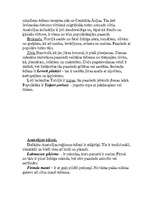 Referāts 'Turcija', 29.