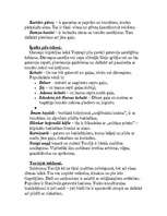 Referāts 'Turcija', 30.