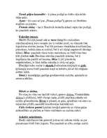 Referāts 'Turcija', 31.