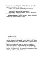 Referāts 'Turcija', 32.