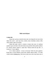 Referāts 'Stikls', 9.