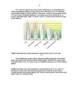 Biznesa plāns 'Lauku māju biznesa plāns', 14.