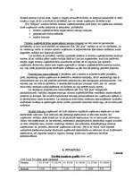 Biznesa plāns 'Lauku māju biznesa plāns', 23.