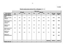 Biznesa plāns 'Lauku māju biznesa plāns', 32.