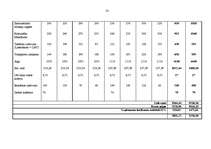 Biznesa plāns 'Lauku māju biznesa plāns', 33.