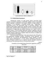 Referāts 'ES reģionālās politikas finanšu instrumenti Latvijā', 9.