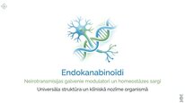 Prezentācija 'Endokanabinoīdi', 1.