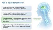 Prezentācija 'Endokanabinoīdi', 2.