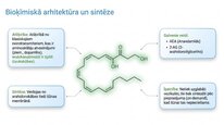 Prezentācija 'Endokanabinoīdi', 4.