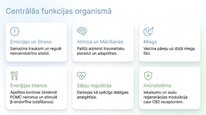 Prezentācija 'Endokanabinoīdi', 6.