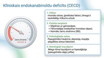 Prezentācija 'Endokanabinoīdi', 8.