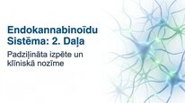 Prezentācija 'Endokanabinoīdi', 13.