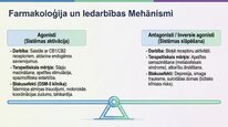 Prezentācija 'Endokanabinoīdi', 17.