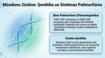 Prezentācija 'Endokanabinoīdi', 23.