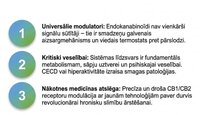 Prezentācija 'Endokanabinoīdi', 26.