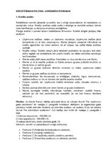 Referāts 'Bankas "X" vispārējā kreditēšanas politika', 4.