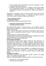 Referāts 'Bankas "X" vispārējā kreditēšanas politika', 14.