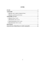 Referāts 'Bezdarbs', 2.