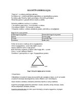Konspekts 'Kognitīvā psiholoģija', 1.