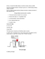 Konspekts 'Kognitīvā psiholoģija', 2.