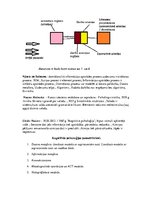 Konspekts 'Kognitīvā psiholoģija', 6.