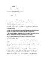 Konspekts 'Kognitīvā psiholoģija', 8.