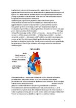 Referāts 'Iedzimtas sirdskaites', 4.