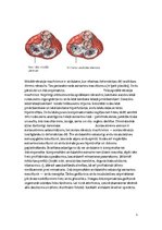 Referāts 'Iedzimtas sirdskaites', 5.