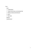 Referāts 'Uzvedība dažādās vecuma grupās', 2.