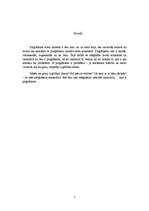 Referāts 'Plaģiātisms', 3.