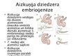 Prezentācija 'Aknu, aizkuņģa dziedzera histoloģija; gestācijas (grūtnieču) cukura diabēts', 12.