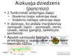 Prezentācija 'Aknu, aizkuņģa dziedzera histoloģija; gestācijas (grūtnieču) cukura diabēts', 15.