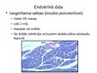 Prezentācija 'Aknu, aizkuņģa dziedzera histoloģija; gestācijas (grūtnieču) cukura diabēts', 20.