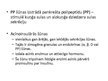 Prezentācija 'Aknu, aizkuņģa dziedzera histoloģija; gestācijas (grūtnieču) cukura diabēts', 25.