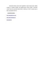 Eseja 'Inovācijas tūrismā', 3.