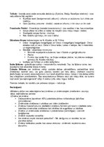 Konspekts 'Jaunlaiku filosofija no renesanses līdz apgaismībai', 33.