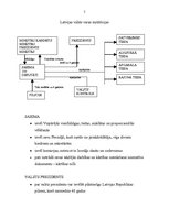 Referāts 'Konstucionālie tiesību pamati', 5.