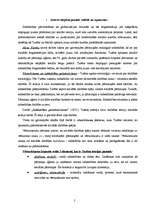 Konspekts 'Mainīguma nosacītība un aktīvā subjekta atgriešanās. Riska sabiedrības jēdziens', 2.